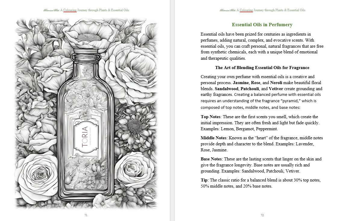 Botanical Bliss: A Colouring Journey Through Plants & Essential Oils