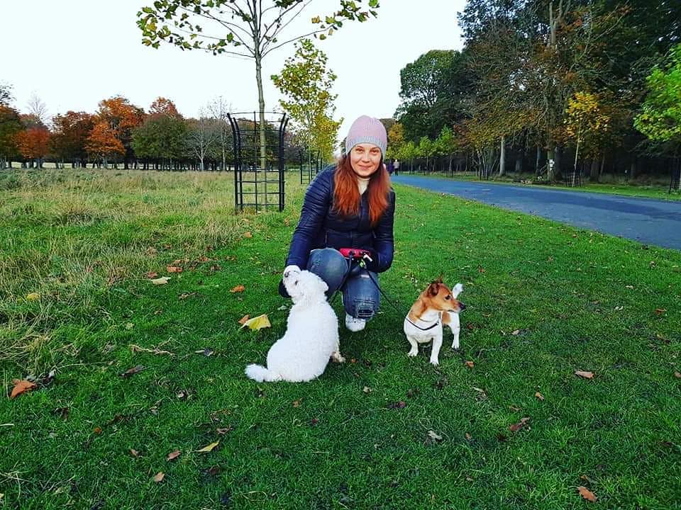 From Homelessness to Hope: The Story Behind the VMTcoin and VM Foundation DAO